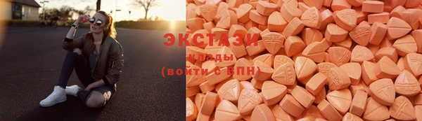 соль ск Каменногорск