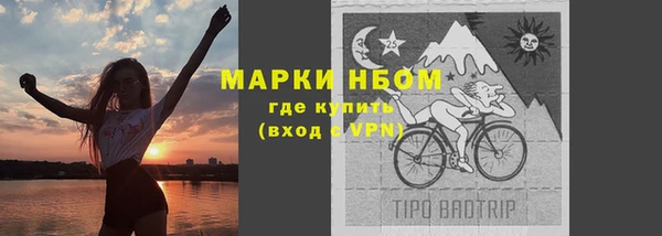 соль ск Каменногорск