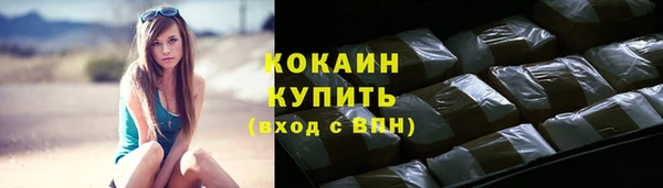 соль ск Каменногорск