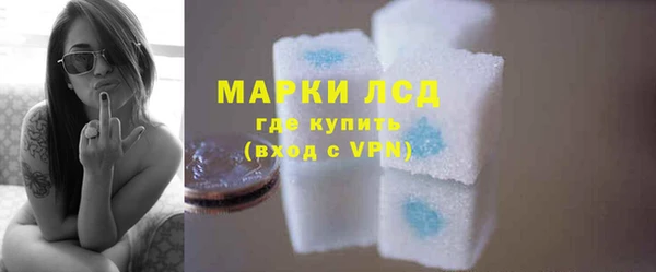 соль ск Каменногорск
