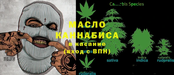 соль ск Каменногорск