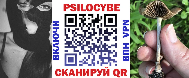 Псилоцибиновые грибы мухоморы  OMG маркетплейс  Люберцы 