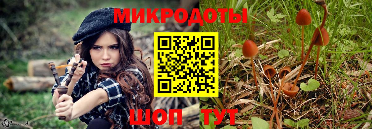 Галлюциногенные грибы мухоморы Люберцы