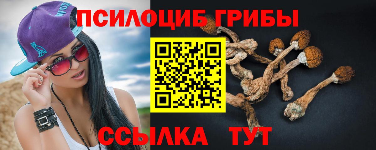 Псилоцибиновые грибы прущие грибы  Вход с VPN  где можно купить наркотик  Галлюциногенные грибы Psilocybine cubensis  Люберцы 